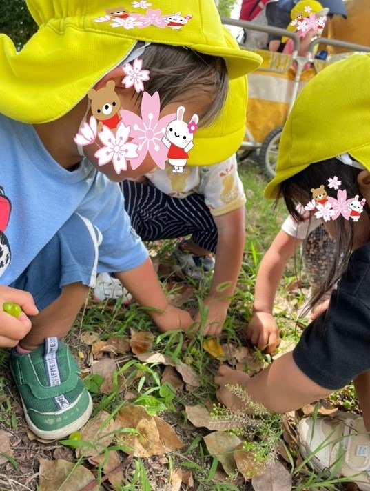 画像：落ち葉を触っている子ども