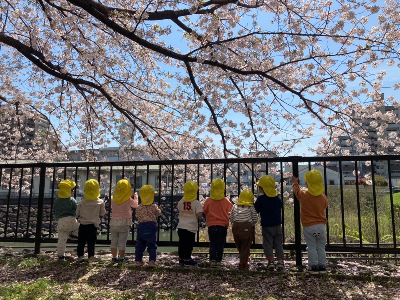 写真：給食