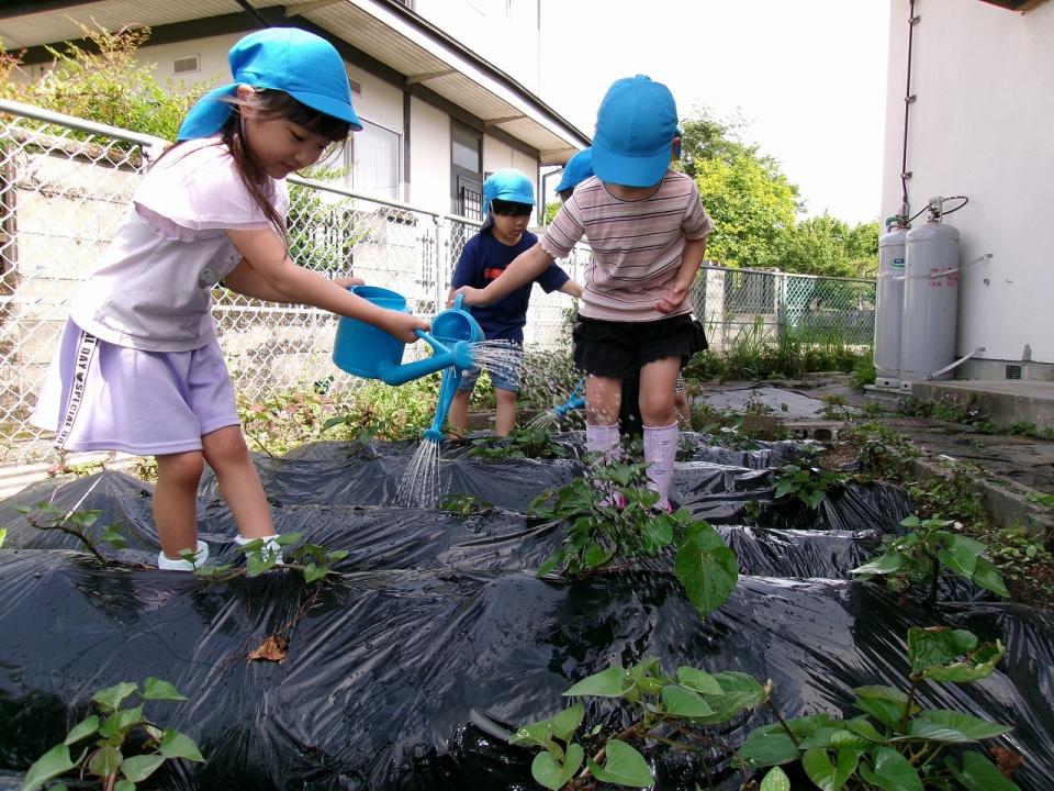 写真：水やりを体験