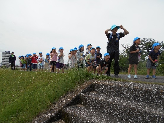 写真：土手沿いをみんなで遠足