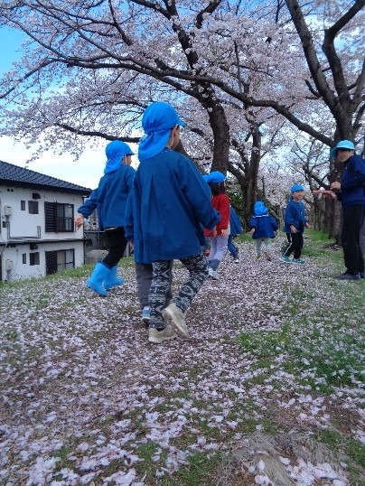 写真：花びらの上を歩いてみよう