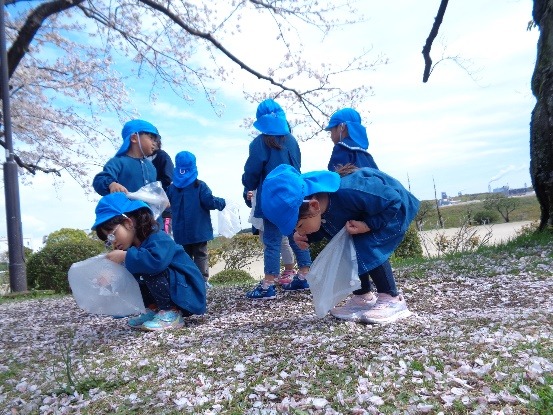 写真：桜の花びらを集めよう