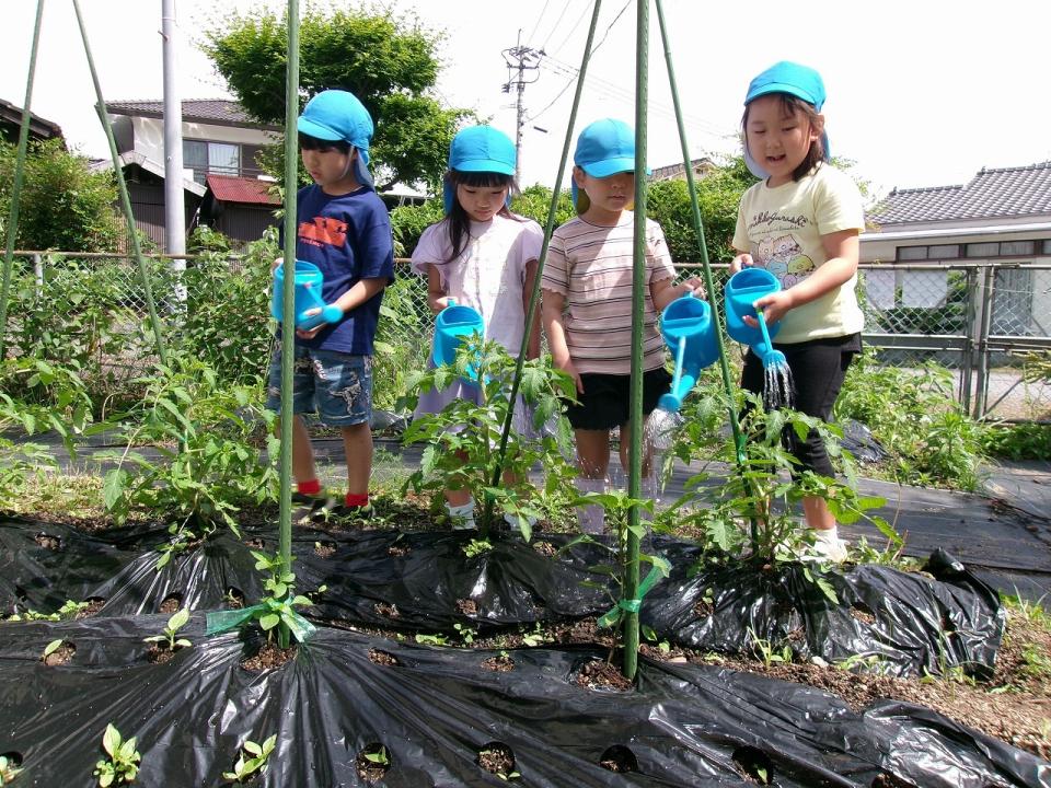 写真：野菜に水やり