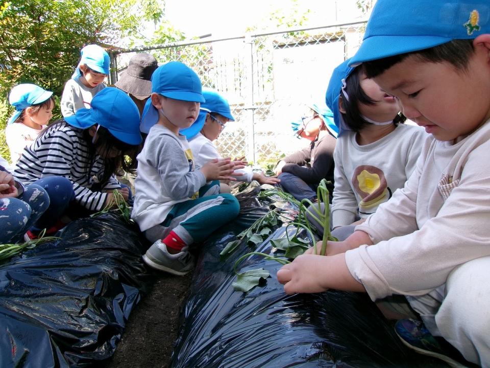 写真：苗を植えている様子