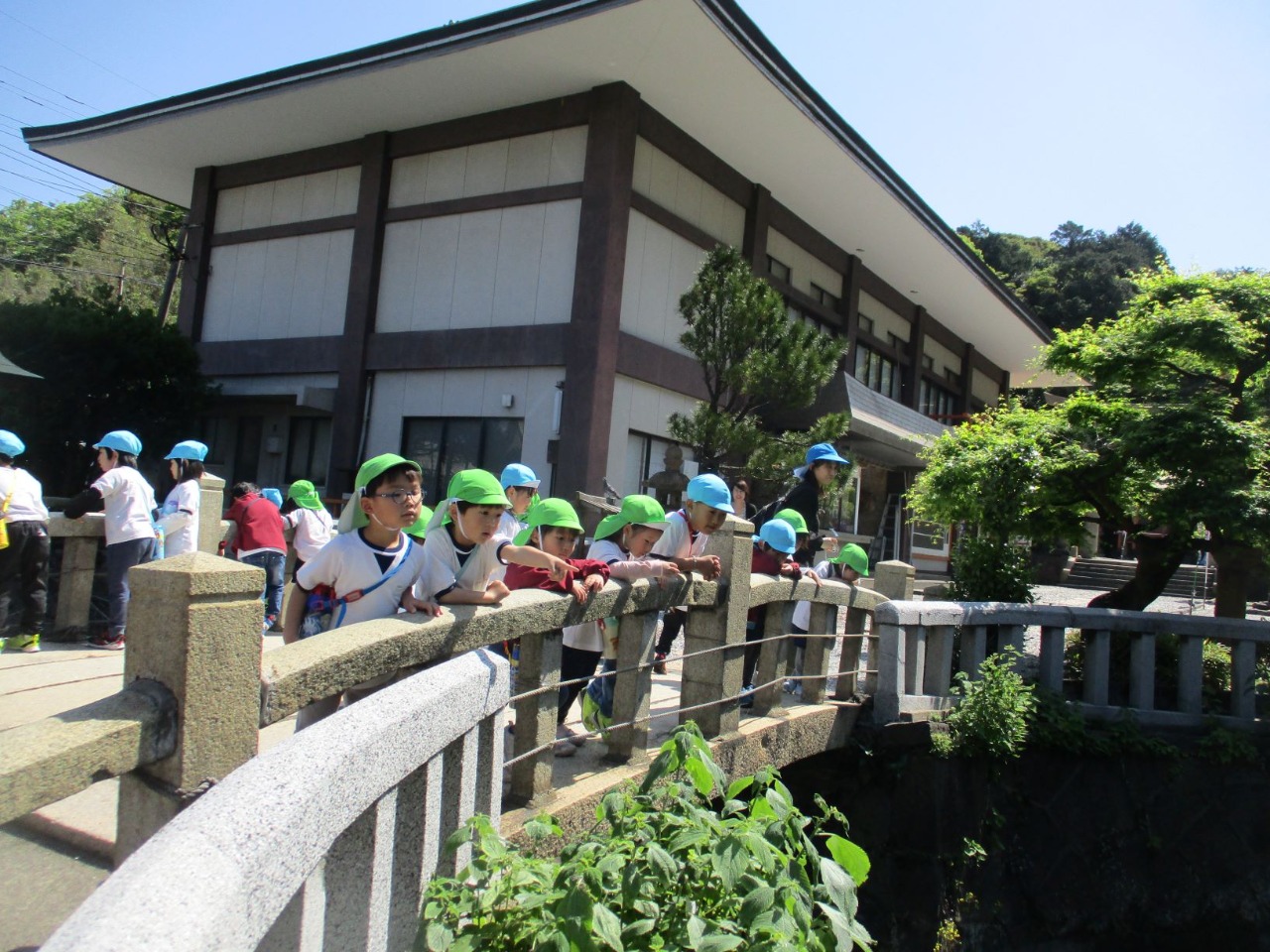 写真：橋の上から池の中を覗いてみると