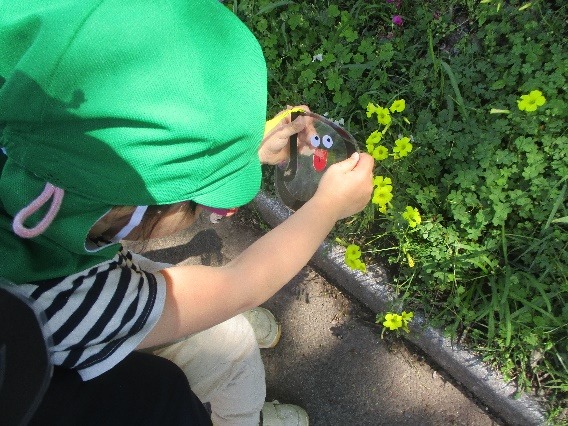 写真：きれいなお花を発見！