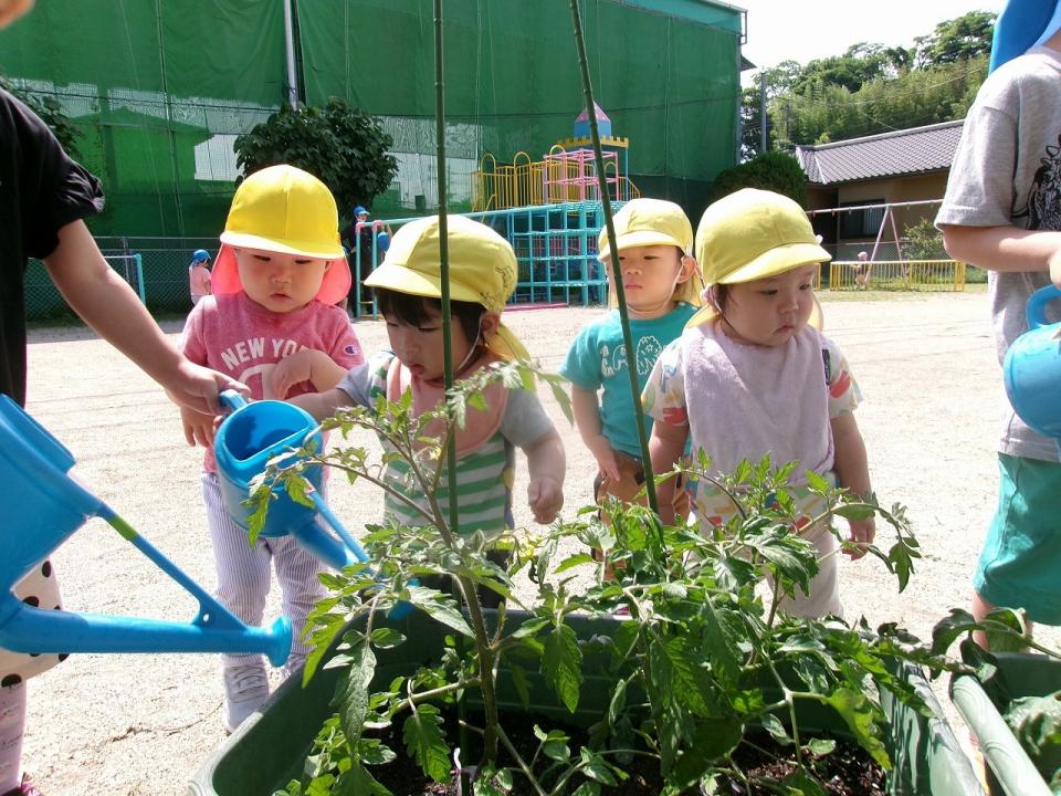 写真：りず組さんも水やり体験